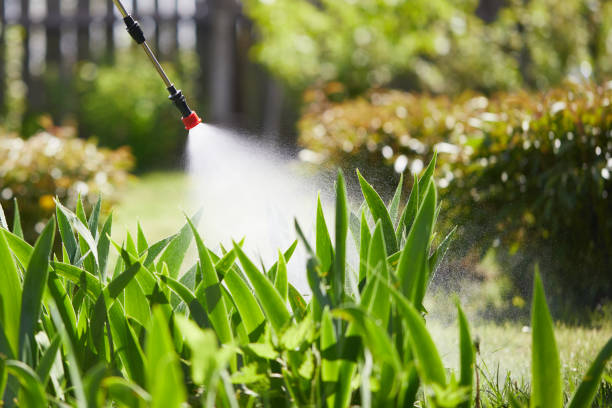 24/7 Emergency Mosquito Control experts in Indian Hills, TX