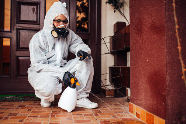 Reliable Mosquito Control contractor in Indian Hills, TX by Show Me Pest Control